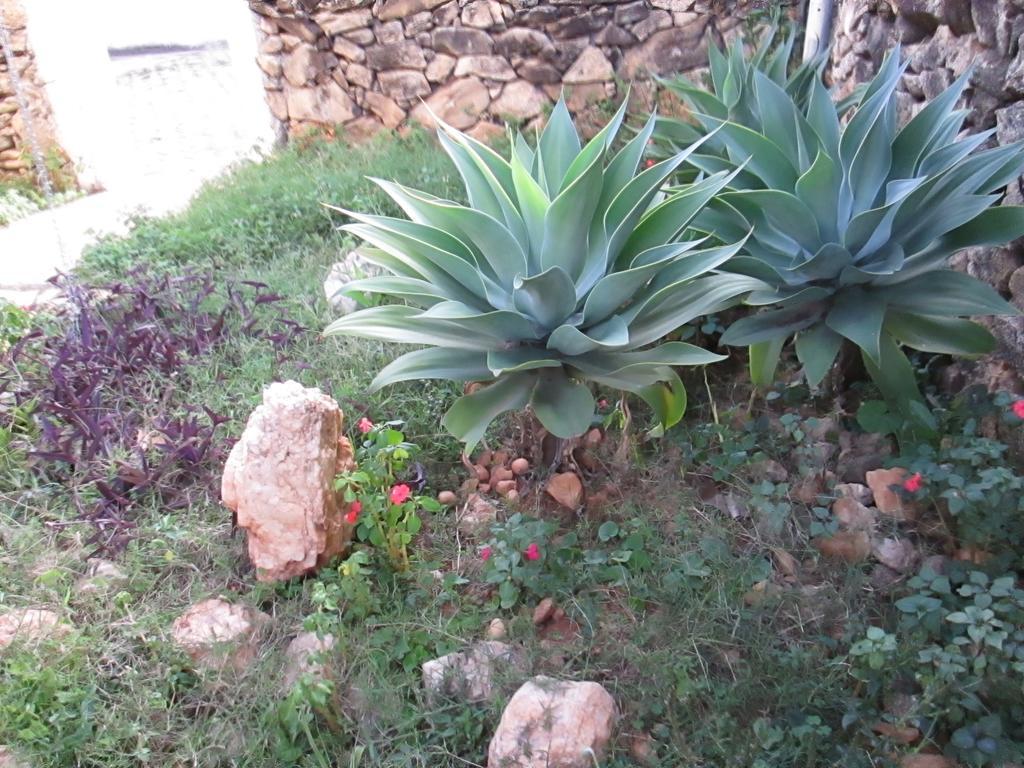 Pousada As Reliquias De Minas Tiradentes Luaran gambar